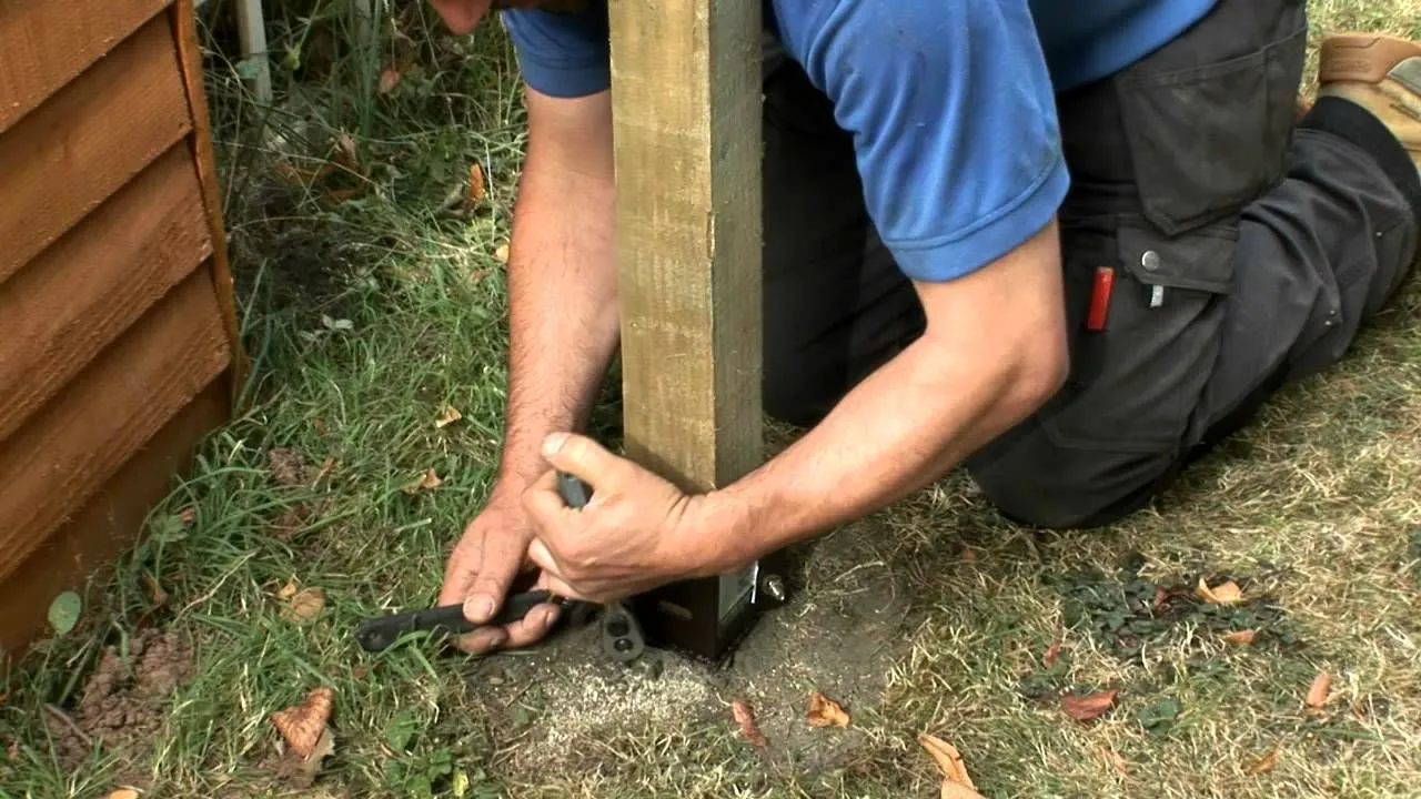 A person kneeling on the grass, installing or repairing a wooden fence post into a metal ground spike.